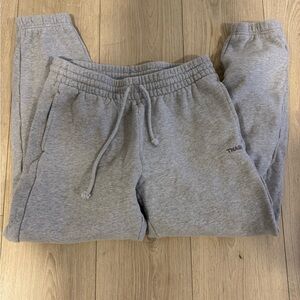 Aritzia Tna boyfriend fit sweatpants